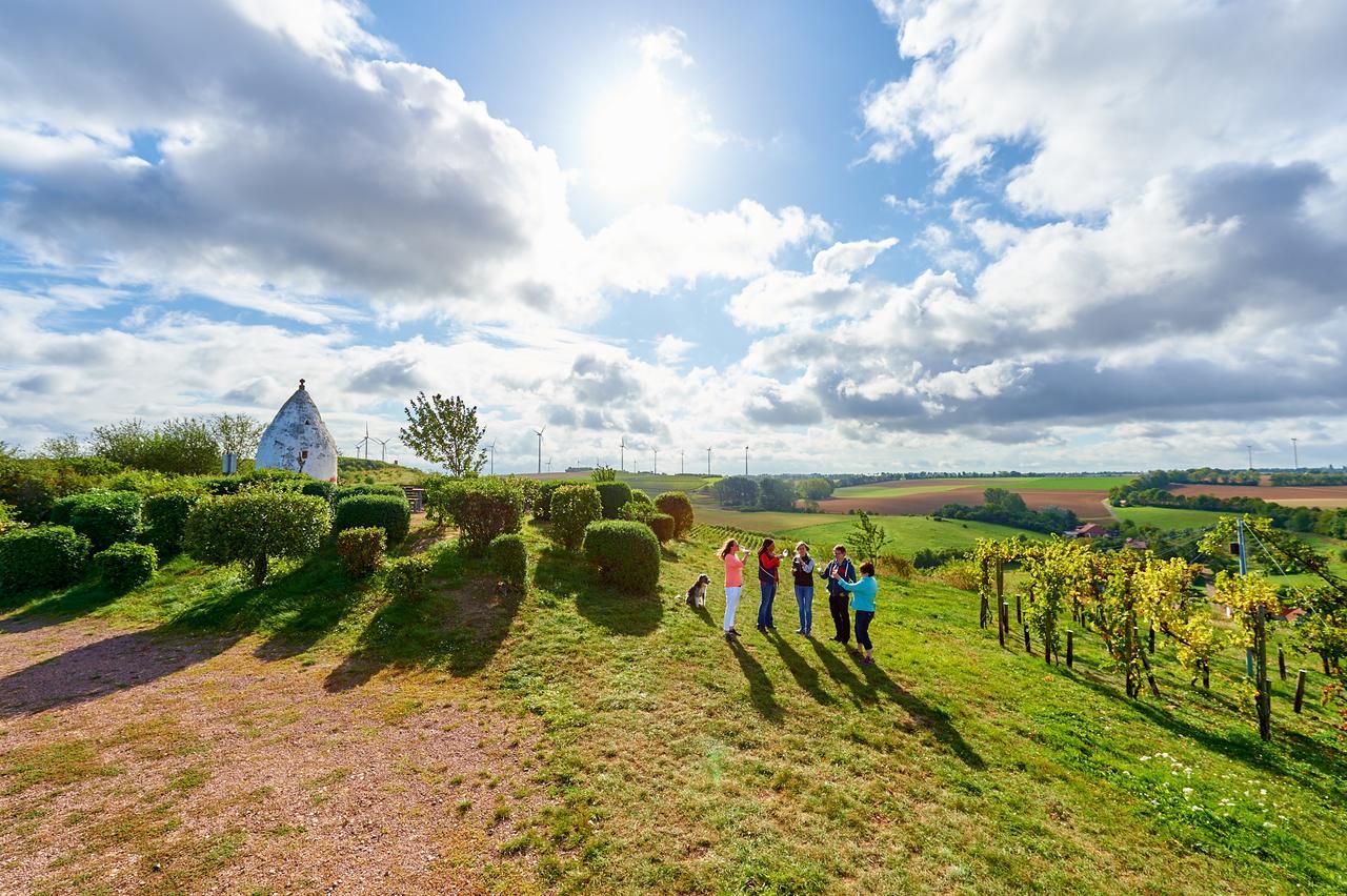 Dohlmuehle Hotel & Weingut Flonheim Eksteriør bilde