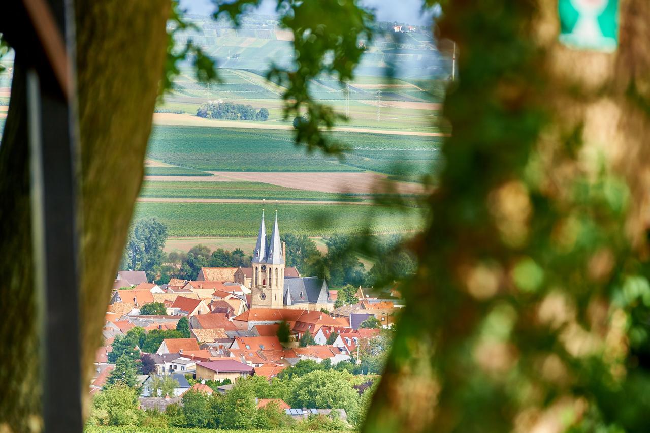 Dohlmuehle Hotel & Weingut Flonheim Eksteriør bilde